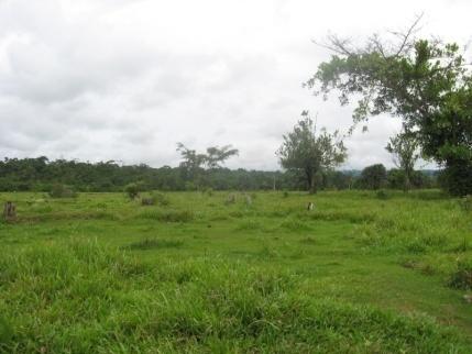 Plataforma 26A Se ubica en un área deforestada y caracterizada por la presencia y abundancia de pastos para la alimentación de ganado. Es un área utilizada netamente para pastoreo.