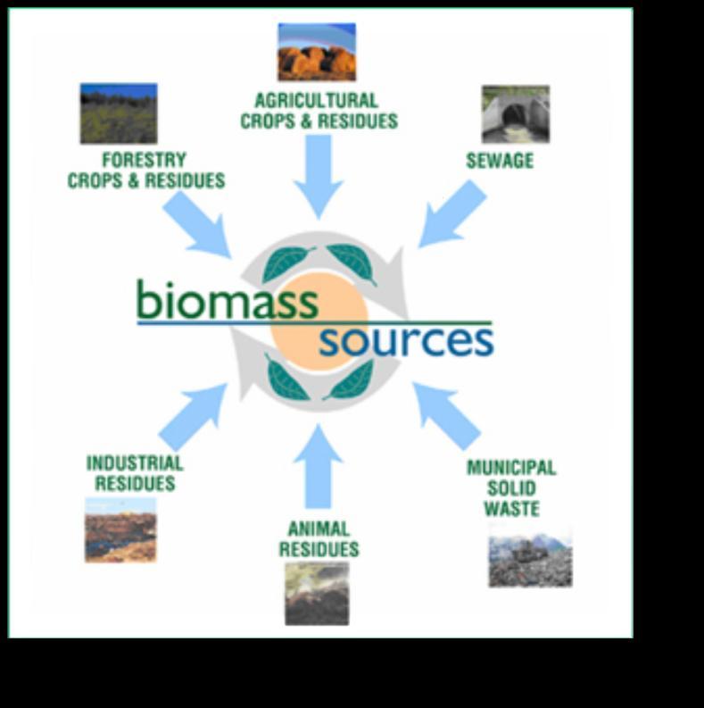 o Bioenergía Energía de