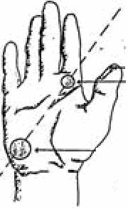 TEMA 3: EMPUÑADURAS La empuñadura es la forma en que un jugador sujeta la raqueta para realizar sus golpes.