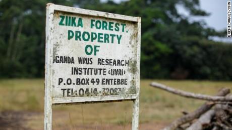 Epidemiologia del ZIKV Aislado por primera vez en el macaco Rhesus en el bosque Zika de Uganda en un estudio de seroepidemiología en 1947 Aislado por primera vez de la especie humana en 1952 Antes