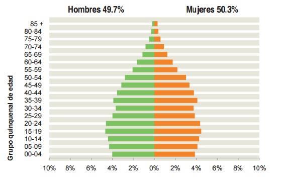 Pirámide de Población del Municipio de Guadalupe, 2010 Recientemente se ha difundido la propuesta de fomentar en las ciudades mexicanas las características de una ciudad compacta, de acuerdo a los