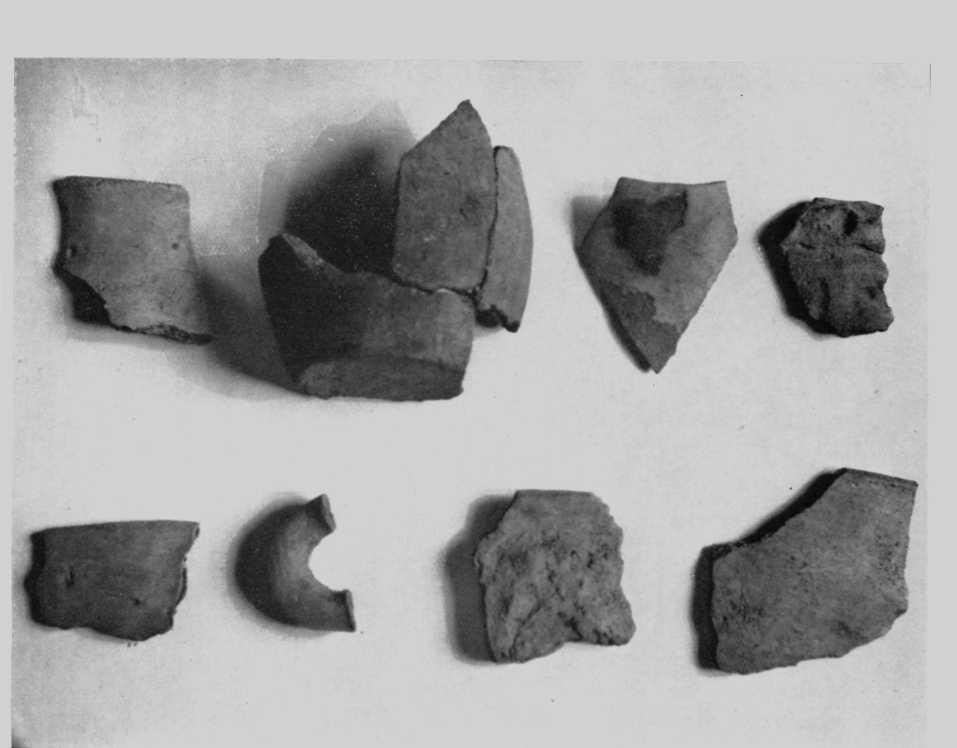 Lamina IV Fragmentos de cerámica de la