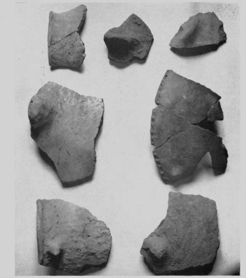 Lámina V Fragmentos de cerámica de la covacha