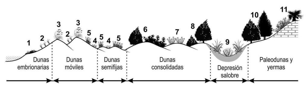 Geoseries especiales Dunas