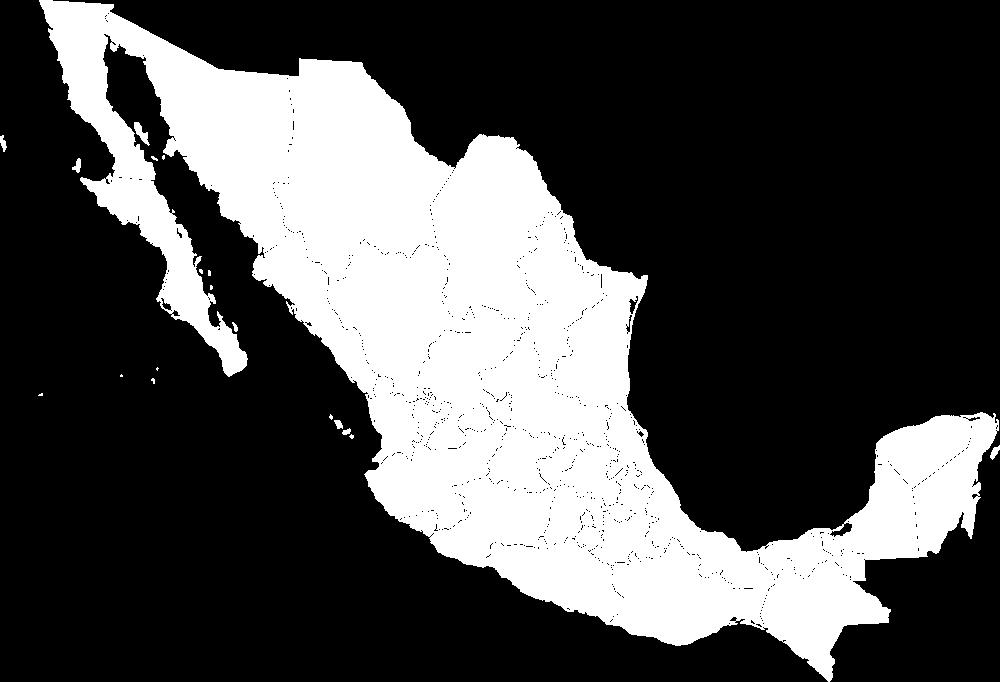 Situación Actual- México Existe normatividad para otros sectores industriales.