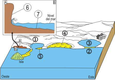 Señale el agente geológico que las genera. 3. Cuál es el papel de las corrientes de deriva litoral en el proceso de formación de las estructuras de acumulación de sedimento? ** P.A. 11.