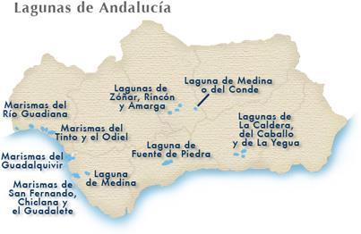 Destacan las marismas del Guadalquivir y