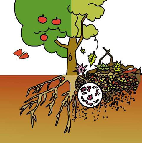 En la naturaleza todo se recicla, lo que sale de ella vuelve a ella en forma de nutrientes, la naturaleza tiene su propio ciclo de vida por ejemplo cuando se caen las hojas al suelo, trozos de ramas,