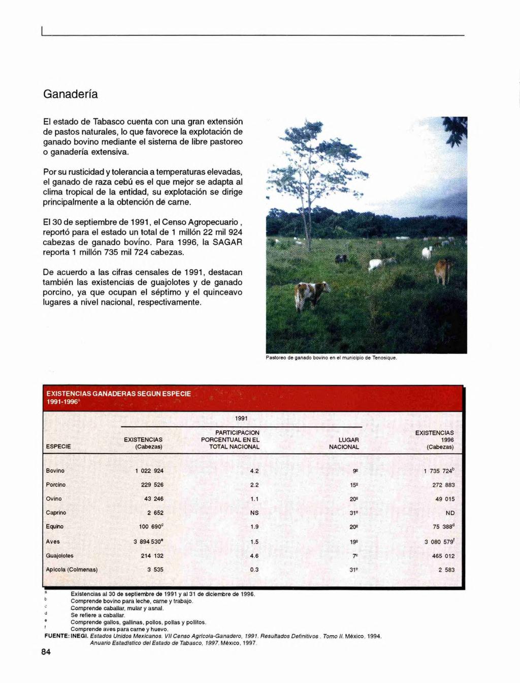 Ganadería El estado de Tabasco cuenta con una gran extensión de pastos naturales, lo que favorece la explotación de ganado bovino mediante el sistema de libre pastoreo o ganadería extensiva.