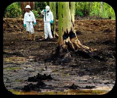 El Parlamento Amazónico postula El uso racional de los recursos naturales y la