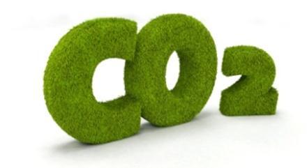 1.- La Huella de Carbono en la producción de cultivos hortícolas HUELLA DE CARBONO es el balance de todas las emisiones de gases de efecto invernadero causadas durante el ciclo de vida de un producto.