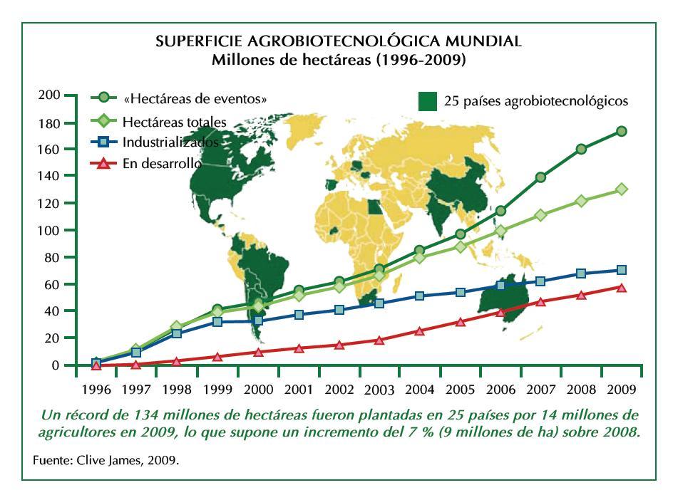 Resistencia a plagas Características agronómicas: