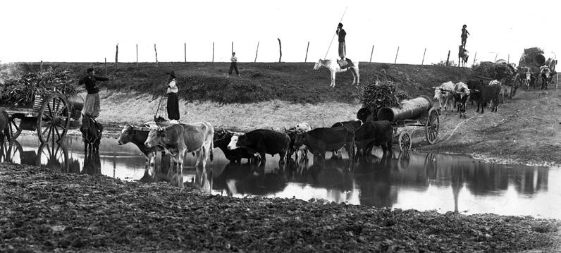 LA COMPAÑÍA DE AGUAS CORRIENTES El primitivo sistema de abastecimiento de agua, se volvió insuficiente y poco efectivo debido a las frecuentes sequías.