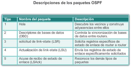 Paquete saludo El paquete OSPF de tipo 1 es el paquete de saludo. Los paquetes de saludo se utilizan para: Descubrir vecinos OSPF y establecer adyacencias de vecinos.