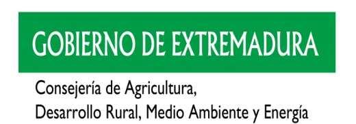 PATRONOS Gobierno de Extremadura Diputación Provincial de