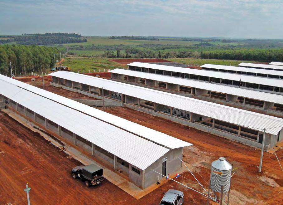 Agricultura Unicoop Planta UPM Granja de cerdos - Paraguay PALRUF Blanco opaco 2.