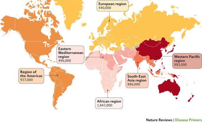 Sífilis: epidemiología Amplia distribución mundial 5,6 millones de nuevos por año en el mundo (OMS 2012) Argentina: aprox.