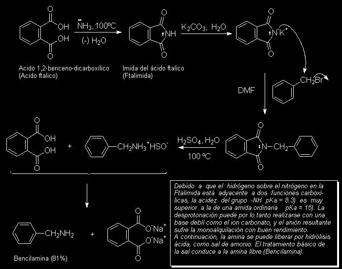 SÍNTESIS DE GABRIEL Aminación reductiva Aminas 1º R O R' aldehido o cetona NH 3