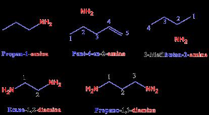 Clasificacion Sal de amonio cuaternaria Nomenclatura Las aminas se nombran como derivados de los alcanos sustituyendo la