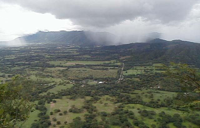La región de Guanacaste es un área de situación crítica, donde la deforestación y la sobreexplotación de los bosques, han provocado que la extensa gama de especies forestales consideradas valiosas