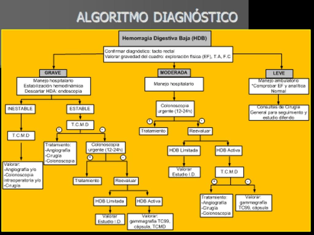 Fig. 3: Algoritmo diagnóstico-terapéutico de la HDB.