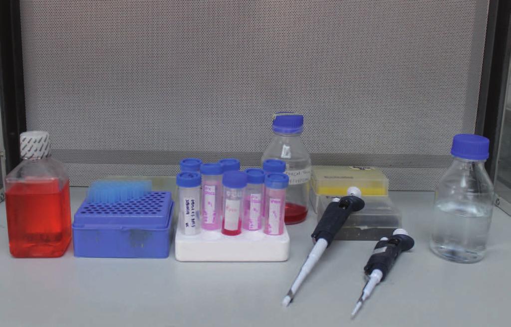 Capítulo 2 Medios y reactivos para cultivo y evaluación celular de tejidos reproductivos y embriones in vitro Autores: Natalia Andrea Gómez