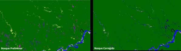Figura 19: Capa de Bosque en áreas de aguajales localizados al oeste del departamento de Loreto Izquierda: Capa de Bosque sin editar en área de aguajales.