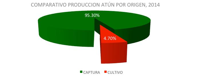 producción de 1,822 toneladas, un 1.5 por ciento del total capturado en ese año. Para 2014 el cultivo de atún se presenta un crecimiento contra los promedios, con el 4.