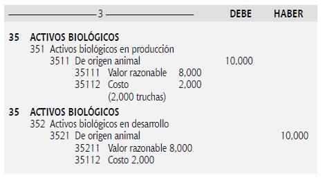 d) Transferencia por cambio de categoría e) Síntesis por nacimiento en el Año 2018 (Transcurrido un año) Cantidad 2,000 100,000 102,000 Activos biológicos (valor razonable) Truchas en producción