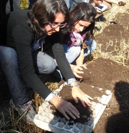 FIGURA 1. Preparación de bandejas para siembra de almácigos en el curso de mayo 2015.