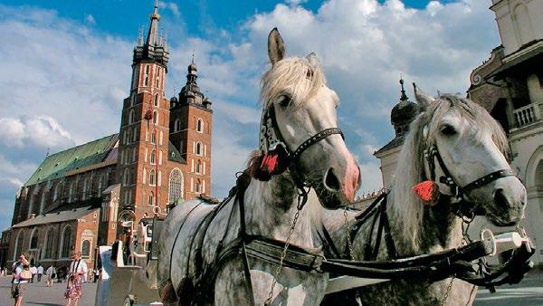Día 3, jueves, a Cracovia Hoy nuestro camino nos lleva a Cracovia, una de las ciudades más grandes, antiguas e importantes de Polonia.