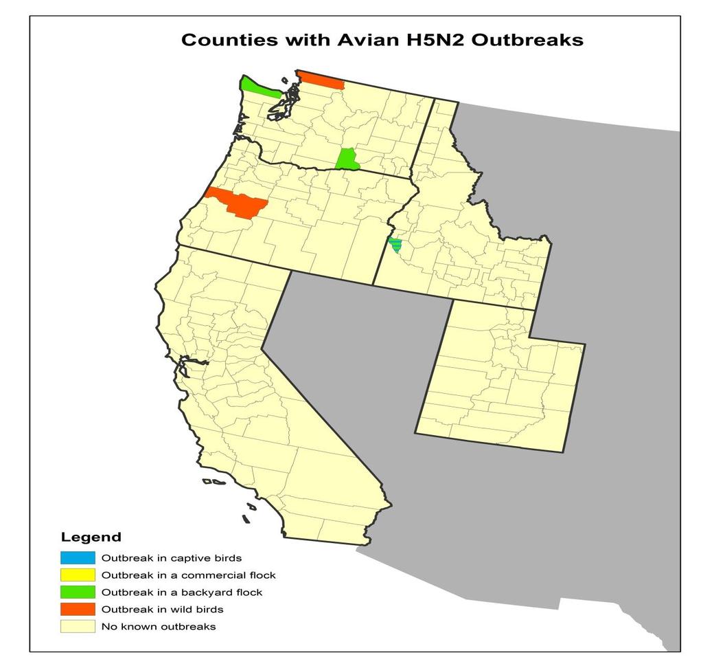 IAAP H5N2 - EEUU (enero 2015) Condados con brotes de H5N2 aviar Brote en aves captivas Brote en