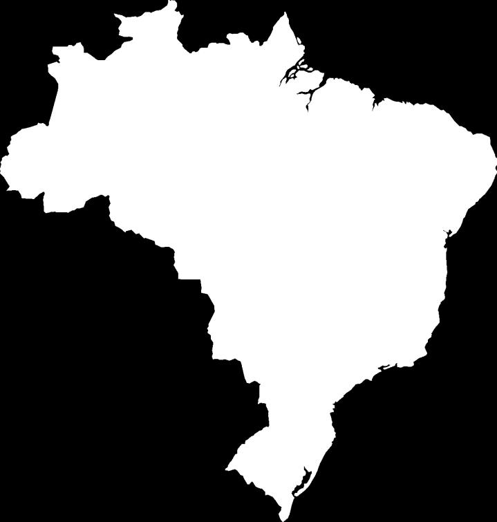 Brasil Países de la Región con Potencial Tercer país en ALyC con mayores recursos técnicamente recuperables de shale gas: 226 Tpc La cuenca de Paraná, que forma parte del complejo Chaco Paraná, es la