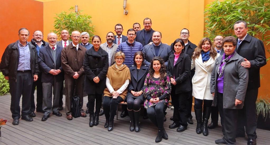 El consenso surge como una iniciativa del Dr. Ramón Carmona, actual presidente de la AMG, y es coordinado por la Dra. María Teresa Abreu y Abreu, La Dra. Mónica Zavala Solares y el Dr.