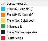 influenza B y adenovirus).