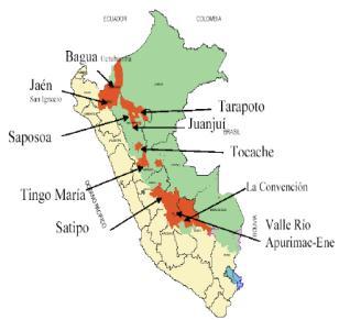 INTRODUCCIÓN Final 1970` - inicios 1980` Cacao para la Amazonía Peruana: - Promoción del cultivo - Proyectos - Factor limitante enfermedades - Reducir las pérdidas.