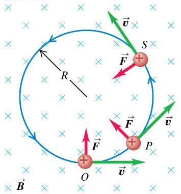 3 Movimiento de Partículas en un Campo Magnético തF = m തa തF = q v