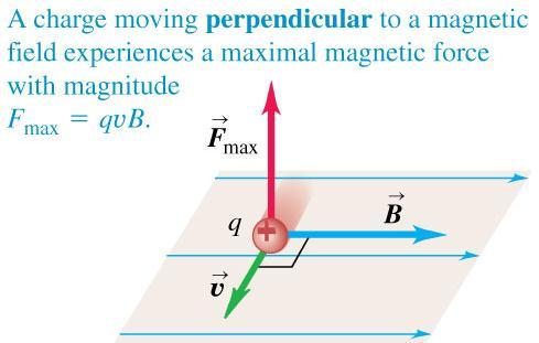 proporcional a la intensidad del campo magnético. 3.
