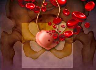 Causas de hematurias no glomerulares 3) Vasculares: Traumatismo Coagulopatía Trombosis de vena o art renal Malformación