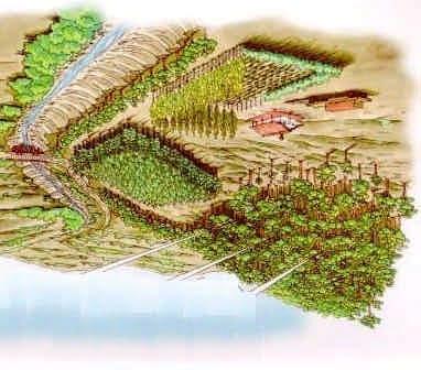 PROGRAMA MODELOS AGROFORESTALES PARA UN DESARROLLO SUSTENTABLE DE LA AGRICULTURA FAMILIAR CAMPESINA Red Agroforestal Nacional (RAN) Cartilla Agroforestal Nº 6: Ordenamiento Predial y Agroforestería