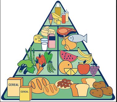 LA PIRÁMIDE NUTRICIONAL La pirámide nutricional, también es conocida como pirámide alimenticia o pirámide alimentaria, es usualmente una herramienta utilizada para sugerir la variedad de alimentos a