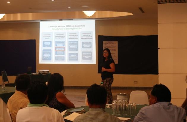 d. Seguidamente la Licda. Rosa Sunum del INAB/GCI; presentó los avances que se han obtenido hasta la fecha en relación a la preparación de la Estrategia Nacional REED+ de Guatemala.