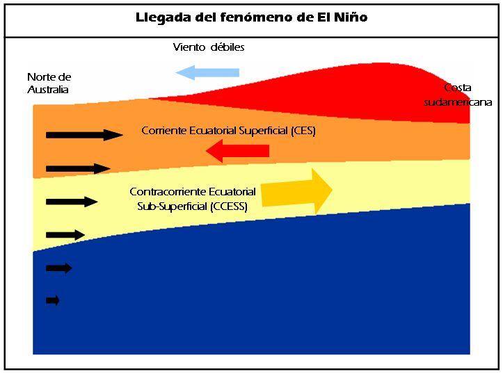 B. Cual es la dinámica de El Niño?