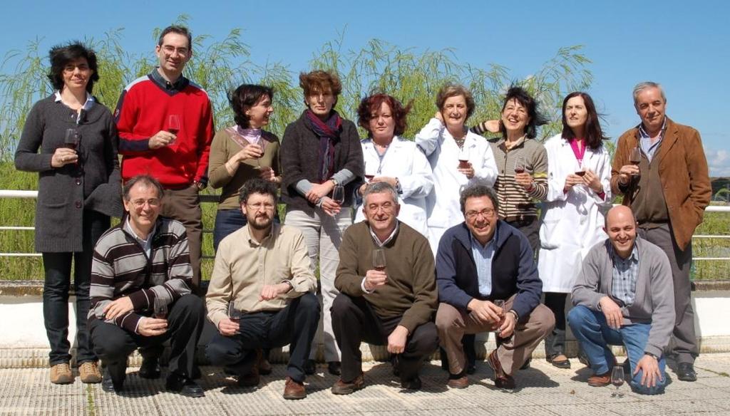 Organización del ICVV (Plan Estratégico 2010-2013) Departamentos de Investigación Viticultura Enología Servicios de