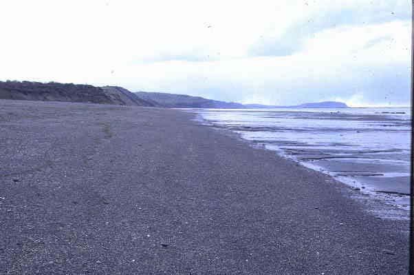Playa Delantera Selección de gravas obladas y laminares Playa Delantera Comprendida entre la marea alta y baja normal.