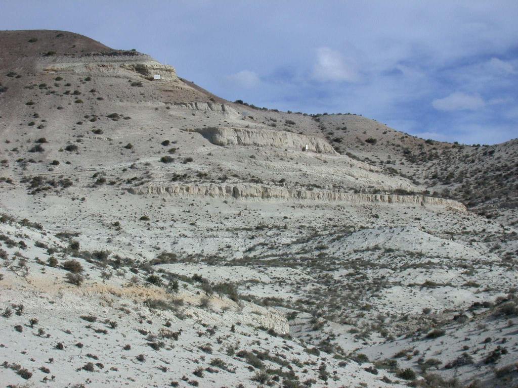 Arenas de estuario Formación Gaiman (Mioceno),