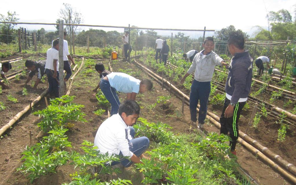 OBJETIVO GENERAL Transformar los hábitos alimenticios y las prácticas agropecuarias, con la participación colectiva