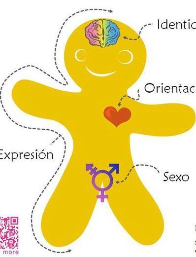 Identidad Orientación sexual hetero / homo / bisexual / asexual Preferencia hacia un determinado sexo Según el sexo de persona por la que se siente atracción física, emocional, espiritual y/o