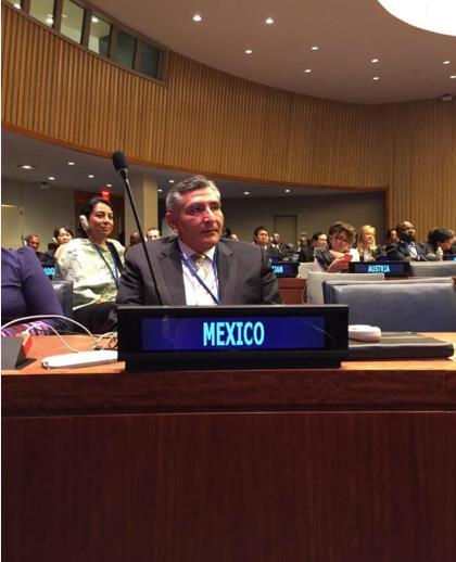 Por lo que respecta a la participación de la delegación del Senado mexicano, que asistió al 48º Período de Sesiones en la CPD de la ECOSOC, esta se basó en centrar su participación en los
