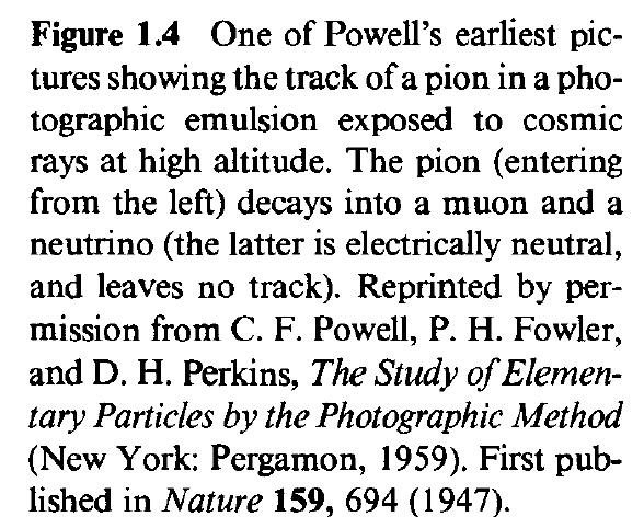 Fermi toma seriamente la teoría de Pauli y logra reproducir los resultados de los experimento